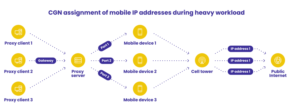 Illustration showing IP lookup and proxy API dashboard